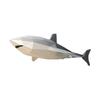 3D skládací model - žralok