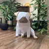 Hugo Mops | Bílá