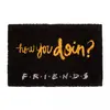 Friends: How You Doin?