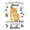 Kočka zrzavá