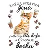 Bengálská kočka