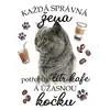 Britská kočka