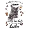 Černá kočka
