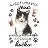 Černobílá kočka