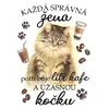 Mainská mývalí kočka