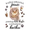 Kočka mourovatá