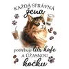 Norská lesní kočka