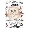 Perská kočka