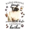 Ragdoll kočka
