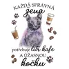 Ruská modrá kočka