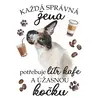 Siamská kočka