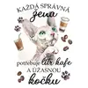 Kočka Sphynx