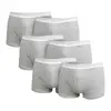6x pánské boxerky Pierre Cardin | Velikost: M | Šedá