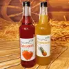 Dva sirupy z ovoce na domácí limonády