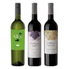 Kolekce 3 vín: Syrah + Cabernet Sauvignon +Torrontés