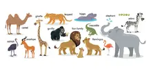 Dětské samolepky na zdi 14 zvířat animals učení