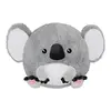 Baby Koala
