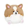Corgi | Velikost: Menší