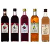 5 druhů sirupů (à 1000 ml) s dopravou zdarma