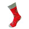 Pánské ponožky Veselý Rudolf červený | Červená