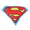 3D polštářek Superman SUOP 171021