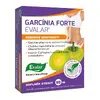 Garcínia Forte pro redukci hmotnosti