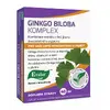 Ginkgo Biloba Komplex pro lepší koncentraci a paměť