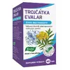 Trojčátka, detox, život bez parazitů