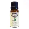 Eukalyptus | Objem: 10 ml