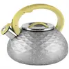 Konvice na čaj - Crista, 3 l | Stříbrná