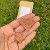 Vánoční ''cukroví'' pro psy | Hmotnost: 40 g