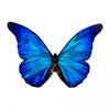 Dřevěná brož - motýl Morpho