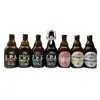 Pack 8× India Pale Ale