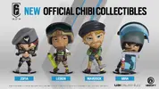 R6 Bundle Y6