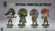 R6 Bundle Y4