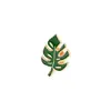 Monstera