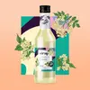 Bezinka, 500 ml