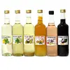 6 poctivých sirupů s rakytníkem, arónií nebo bylinkami, 6× 500 ml