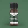 100% esenciální olej – eukalyptus, 10 ml