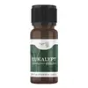 100% esenciální olej – eukalyptus, 10 ml