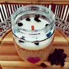 Přírodní sójová svíčka 500 ml - Borůvka