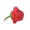 Sazenice Jamaican Red 1 ks