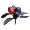 Sazenice Black Pearl 1 ks