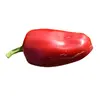 Sazenice Jalapeño 1 ks