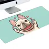 Buldog