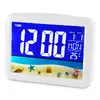 Meteorologická stanice s LCD displejem, bílá