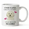 Čtyři tlapky, chlupy z ocásku - Bišonek