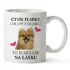 Čtyři tlapky, chlupy z ocásku - Čivava dlouhosrstá