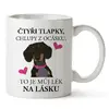 Čtyři tlapky, chlupy z ocásku - Jezevčík