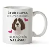 Čtyři tlapky, chlupy z ocásku - Münsterlandský ohař